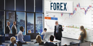 Jakim jesteś typem inwestora na rynku Forex