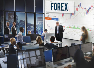 Jakim jesteś typem inwestora na rynku Forex