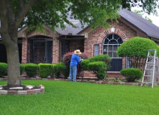 Od jakiej kwoty opłaca się samozatrudnienie? Od jakiej kwoty opłaca się samozatrudnienie?