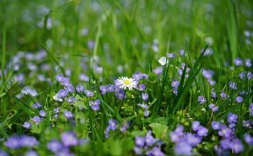 Jakie mogą być nagrody?