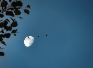 Co to jest migracja zewnętrzna? Co to jest migracja zewnętrzna?