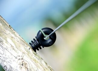 Gdzie jest najwięcej Polaków w Europie?