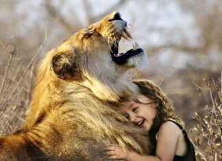 Ile kosztuje zrobienie gry na Androida? Ile kosztuje zrobienie gry na Androida?