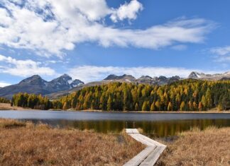 Ile godzin dziennie pracuje się na stażu? Ile godzin dziennie pracuje się na stażu?