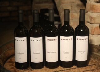 Kto rządzi zusem? Kto rządzi zusem?