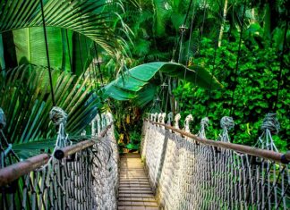 Co po kursie Python? Co po kursie Python?