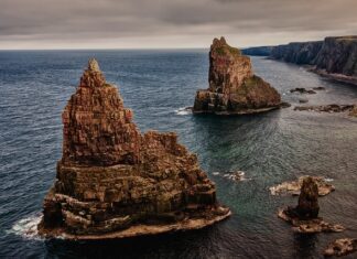 Co się pisze w head?