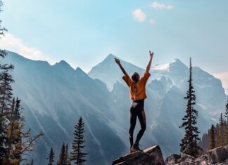 Co powinien zawierać program szkolenia?