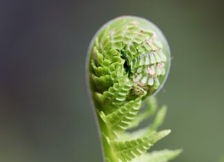 Ile osób kończy prawo? Ile osób kończy prawo?
